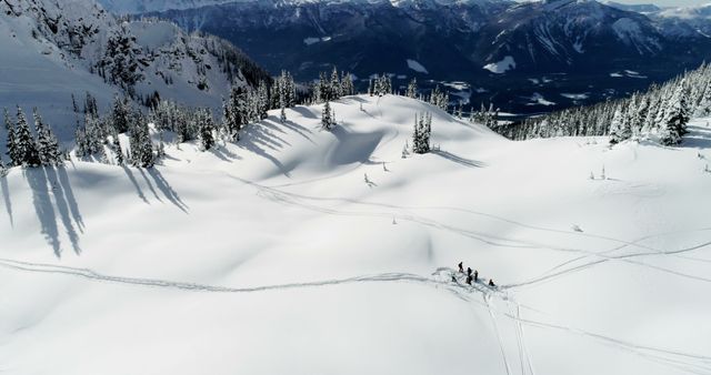 Group Skiing in Pristine Snow-Covered Mountains - Download Free Stock Images Pikwizard.com