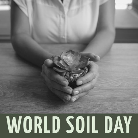 caucasian woman holding plant celebrating world soil day - Download Free Stock Templates Pikwizard.com