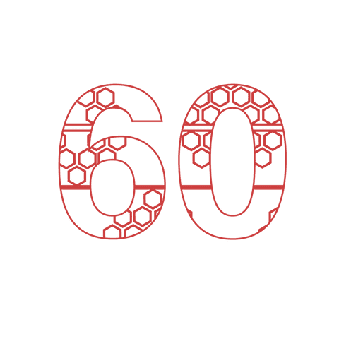 Red Number 60 with Geometric Pattern on Transparent Background - Download Free Stock Videos Pikwizard.com