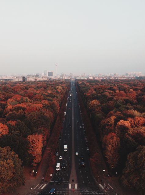 Aerial view capturing a city's street lined with trees adorned in vibrant autumn foliage. Vehicles are seen moving along the road, showcasing a bustling urban lifestyle. Ideal for use in promoting travel, tourism, city life, and seasonal transitions. Can be featured in editorials focused on urban planning, transportation, and the beauty of changing seasons.