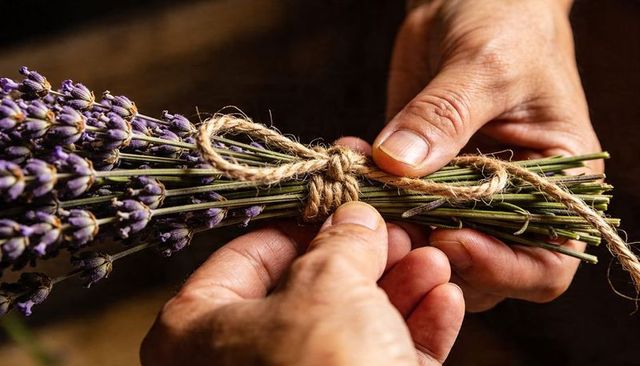 Tying dried lavender bundle with jute twine, closeup hands crafting rustic bouquet