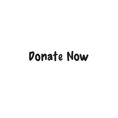 donate now text on transparent background for communications - Download Free Stock Videos Pikwizard.com