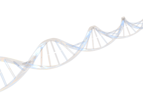 realistic transparent dna strand helix representation science - Download Free Stock Videos Pikwizard.com
