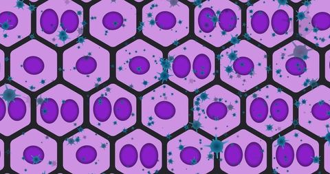 abstract virus cells with digital interface concept - Download Free Stock Images Pikwizard.com