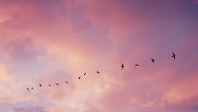Serene Flight of Birds Against Pastel Dusk Sky