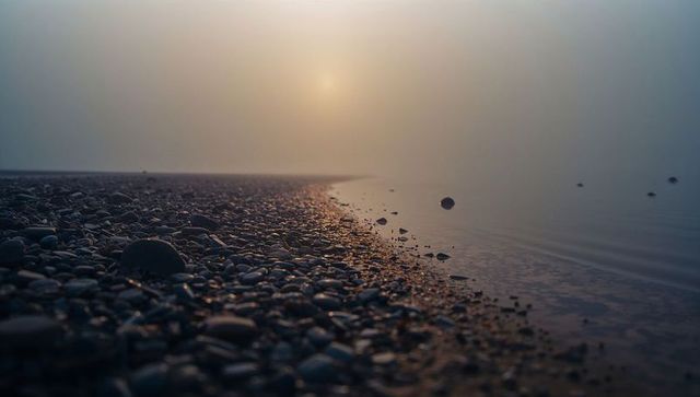 Peaceful foggy shoreline with glowing dawn light