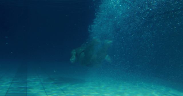 Blurred diver underwater in pool generating bubbles and ripples. Suitable for aquatic sports advertising, swimming lessons promotions, or health and fitness marketing.