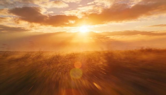 Golden-hour sunburst over wind-swept prairie with lens flare and blurred grasses