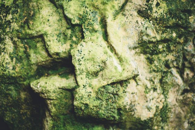 Close-up view of a moss-covered rock, showing intricate details and textures. Green moss creates a natural, organic appearance on the rough stone surface. Ideal for backgrounds, nature-themed projects, environmental blogs, or eco-friendly branding.