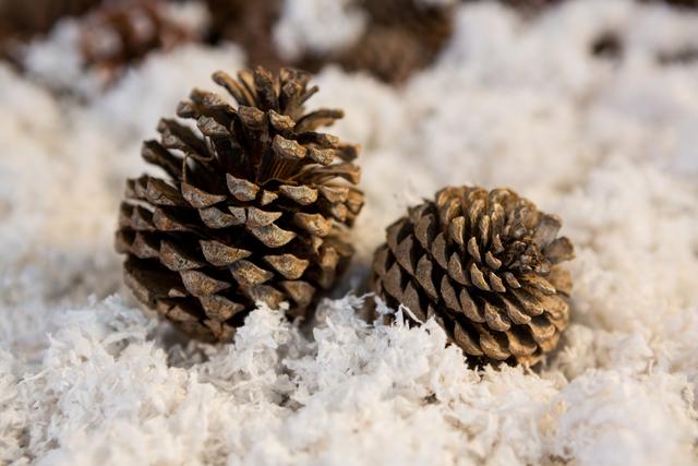 Pine cone decoration on fake snow during christmas time