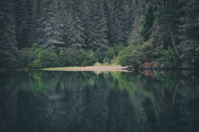 Calm and peaceful forest lake with dense trees reflected in the water. Suitable for nature-related content, backgrounds, relaxation themes, and environmental preservation materials.