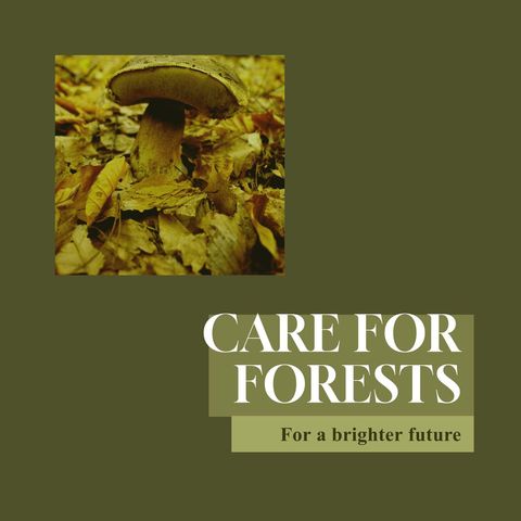 forest conservation sign with mushroom and environmental message - Download Free Stock Templates Pikwizard.com