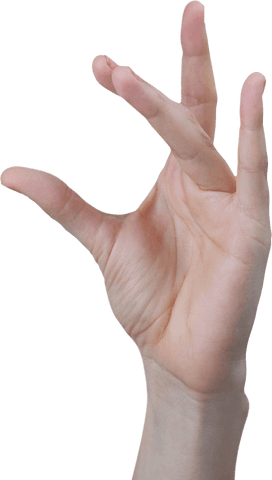transparent background left hand gesture open palms fingers - Download Free Stock Videos Pikwizard.com