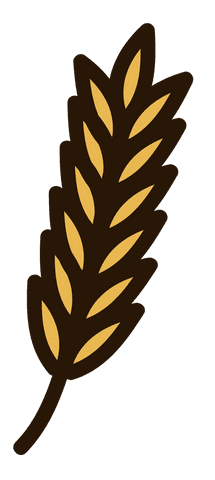 golden cereal ear simplified icon on transparent background - Download Free Stock Videos Pikwizard.com