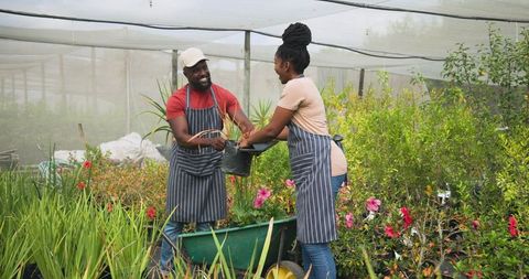 Nursery Workers Collaborating in Garden Center Setting