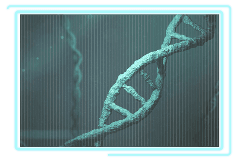 turquoise dna double helix on transparent background - Download Free Stock Videos Pikwizard.com