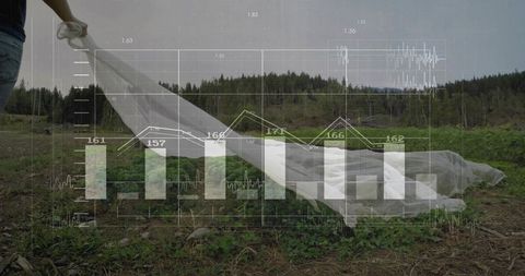 Holding sheer white fabric over meadow with semi-transparent business charts and graphs