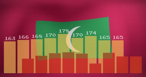 Graphical Data Analysis Overlay on Maldives Flag Design - Download Free Stock Images Pikwizard.com