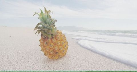 Pineapple on Sandy Beach Under Clear Sky