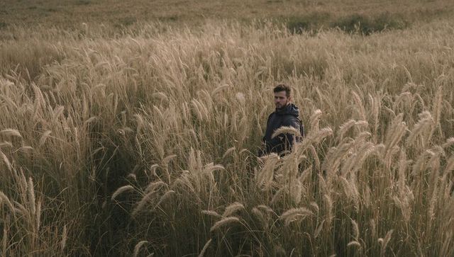 Solitary man walking through tall feathery grass on overcast day, moody meadow solitude