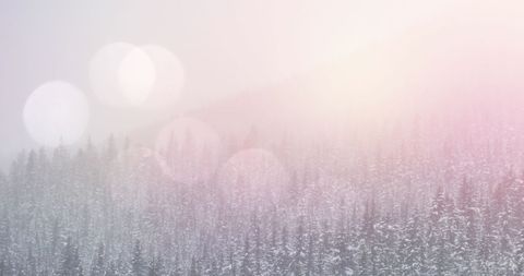 Sunny Winter Pines on Snowy Mountains with Soft Lens Flare - Download Free Stock Images Pikwizard.com