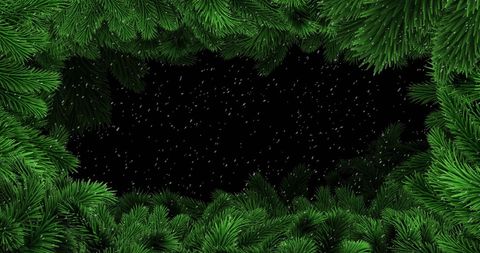 Lush pine branches framing snowy sky at night