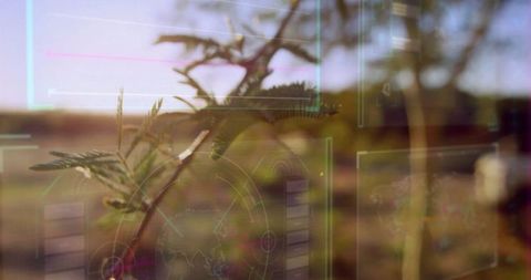 Augmented Reality Analyzing Tree Branch in Rural Landscape