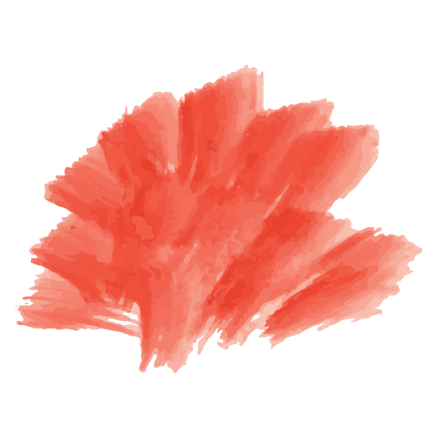 Vibrant red flower on transparent background png illustration