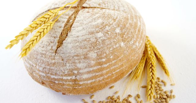 Freshly Baked Round Bread With Wheat Ears and Grains on White Background - Download Free Stock Images Pikwizard.com