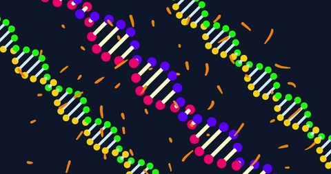 colorful dna strands on dark molecular background - Download Free Stock Images Pikwizard.com