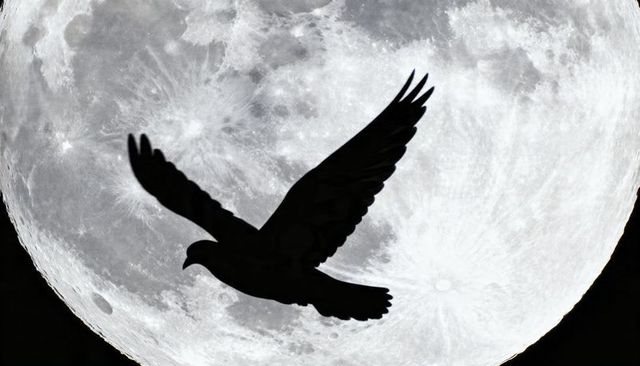 Silhouetted bird gliding across luminous full moon with detailed crater surface