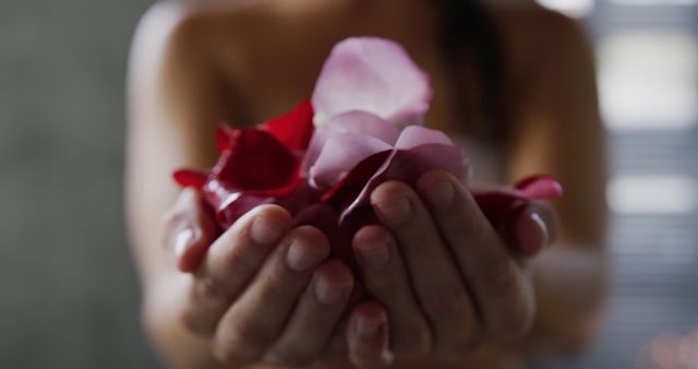 Visual depicts close-up of woman's hands holding a handful of red and pink rose petals. Suitable for themes of romance, beauty, self-care, spa, wellness treatments, and floral arrangements. Can be used in advertising, blogs, social media posts, and articles about aromatherapy, romantic gifts, and natural beauty products.