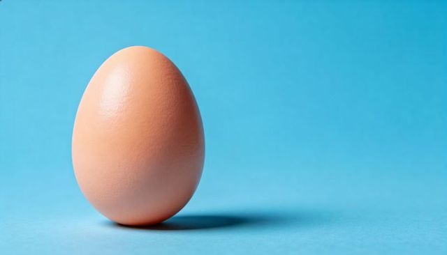 Single brown egg standing upright on blue backdrop casting soft shadow minimal still life