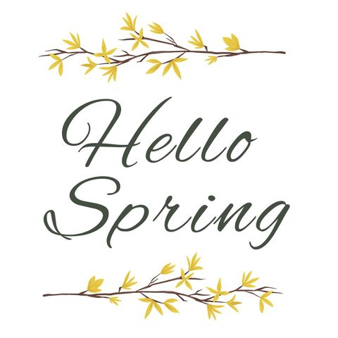 cheerful 'hello spring' message with delicate yellow foliage - Download Free Stock Templates Pikwizard.com