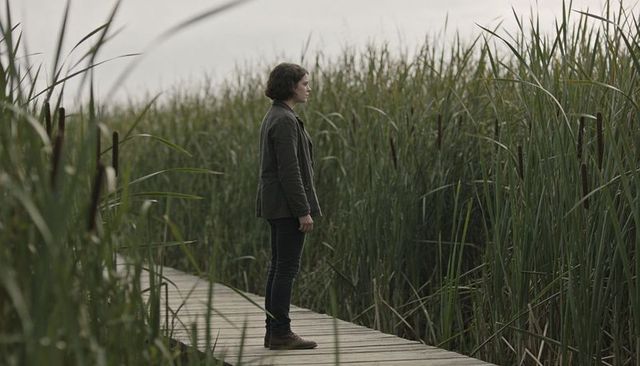 Woman walking along wooden boardwalk through cattail marsh, solitary wetland stroll