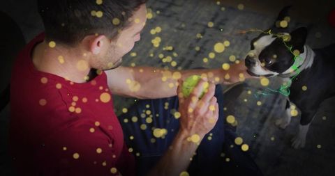 Man playing with dog holding bright green ball surrounded by golden bokeh glow