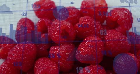 Raspberries with Data Visualization Overlay, Merging Culinary and Analytics