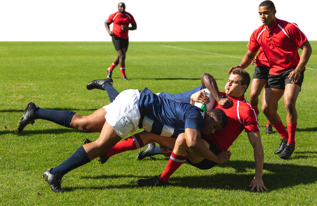 Transparent Action-Packed Scene of Diverse Male Rugby Players - Download Free Stock Videos Pikwizard.com