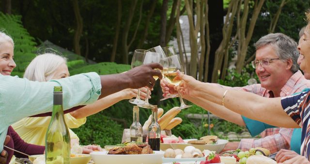 A group of senior friends gather around a table outdoors, enjoying a shared meal and raising their wine glasses in a toast. This image is perfect for promoting social gatherings, celebrating friendship, retirement parties, or advertising events catered toward seniors.