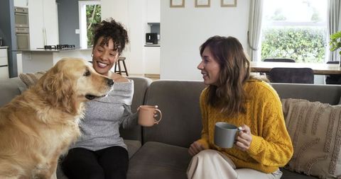 Diverse female friends sharing coffee on gray couch with golden retriever