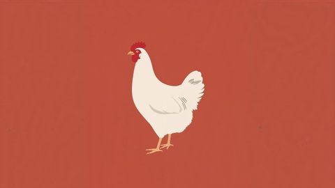 Minimalist White Hen Against Terracotta Background