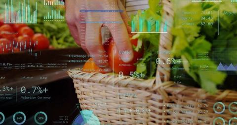 Selecting cherry tomatoes from wicker basket at farmers market with digital data overlay