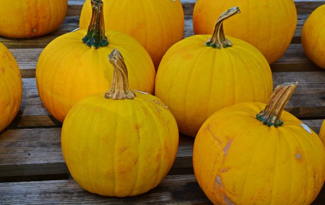 Vibrant, small pumpkins placed on a wooden pallet. Ideal for representing autumn, Halloween, harvest season, or agricultural themes. Perfect for use in advertising fall events, seasonal promotions, and writing about farming or seasonal decor.