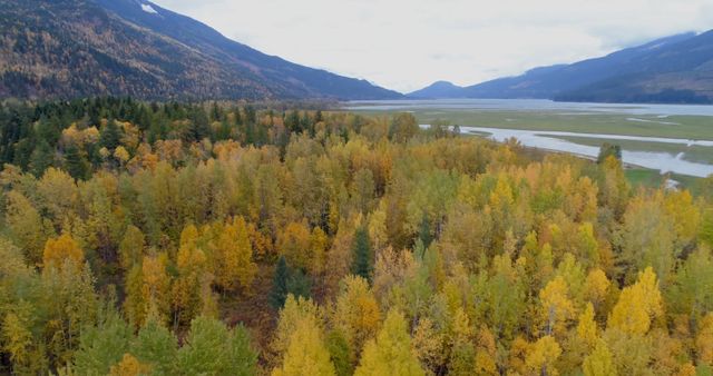 Photo shows a scenic autumn forest with vibrant fall foliage in hues of yellow, orange, and green. There is a river winding through the valley below, flanked by majestic mountains. Ideal for use in nature blogs, travel websites, and environmental publications, this image evokes a sense of tranquility and natural beauty.