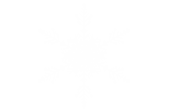 Detailed White Snowflake Isolated on Transparent Background - Download Free Stock Videos Pikwizard.com