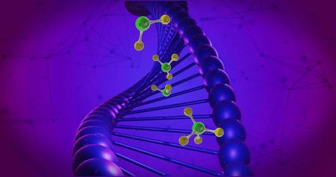 Molecules interacting with spinning dna strand in digital realm