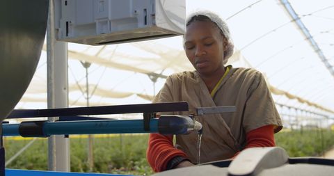 Agricultural worker practicing hygiene in blueberry farm