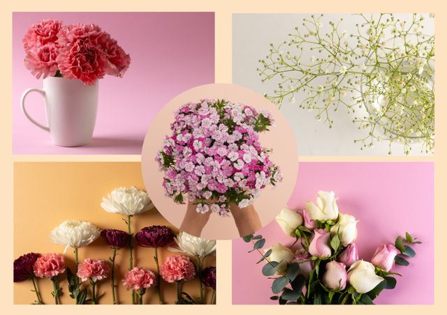 This collage showcases a variety of beautiful flowers, including different types of carnations, gypsophila, and roses displayed on vibrant pink, yellow, and beige backgrounds. Perfect for floral-themed posters, greeting cards, seasonal advertisements, or cosmetic product promotions, adding a touch of nature and elegance to any project.