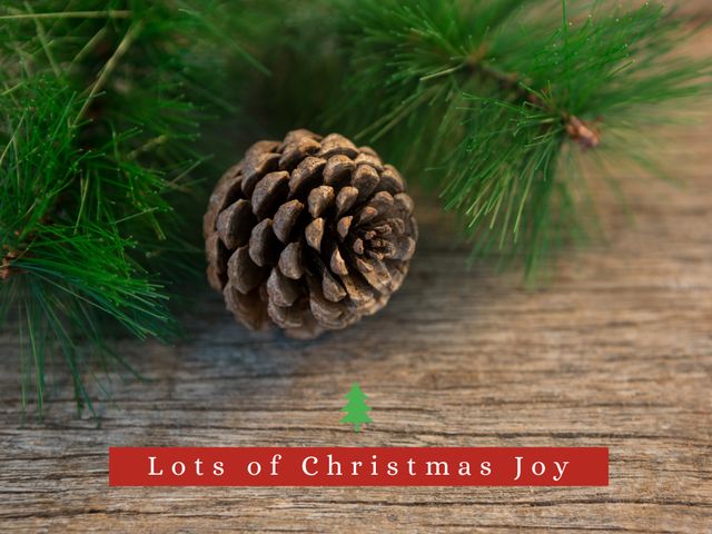 Rustic Christmas Greeting with Pine Cone and Evergreen Branch - Download Free Stock Videos Pikwizard.com