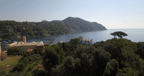 Mountainous bay views on transparent background with coastal charm